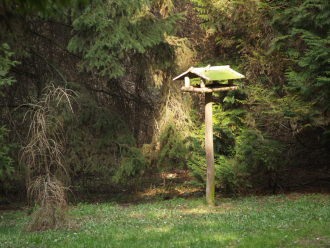 Baracsi úti Arborétum